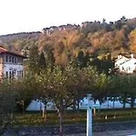Gurutzeberri *